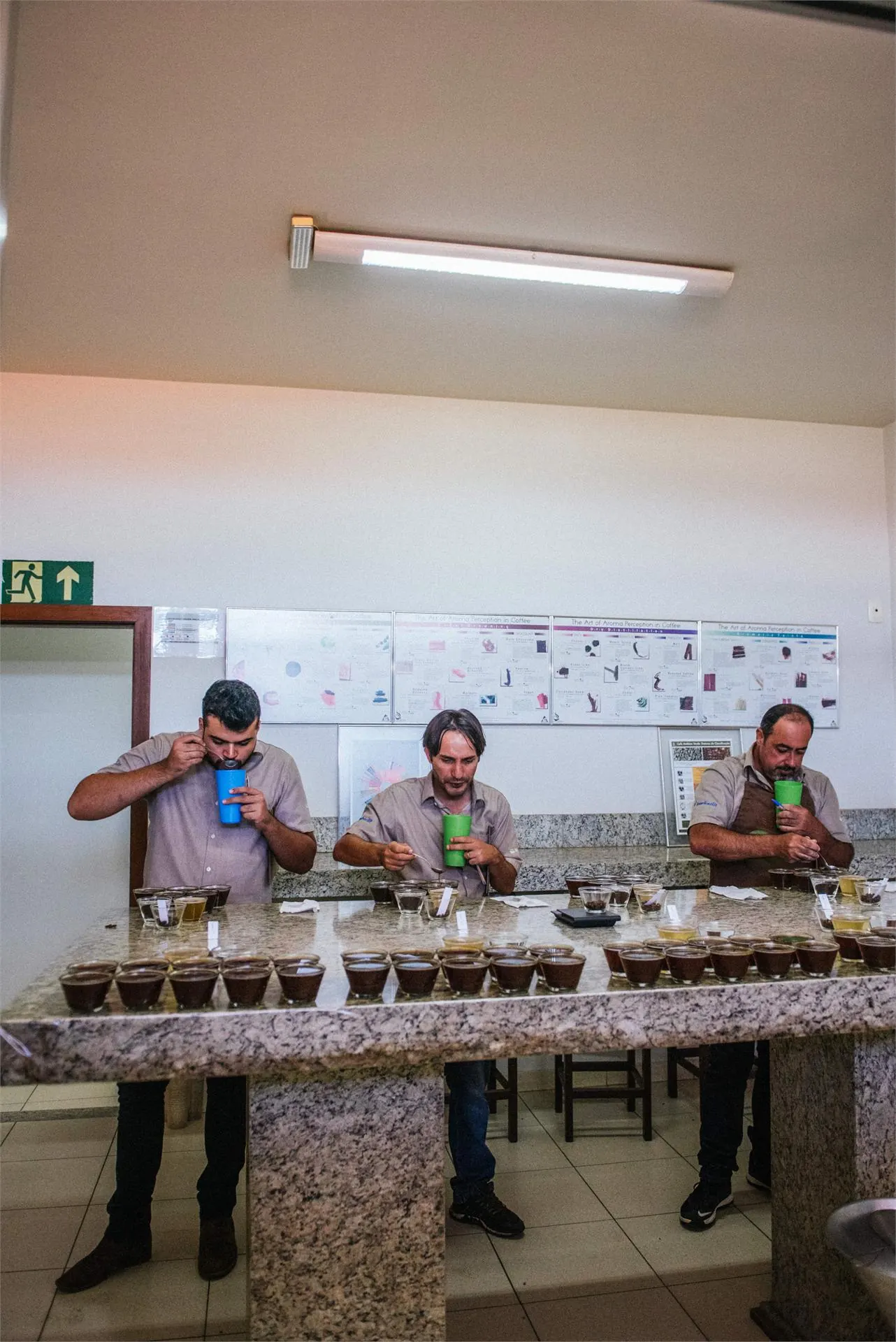 Três Q-Graders realizando prova sensorial de cafés